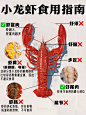 夏季就是要吃小龙虾！哪些部位不能吃？ - 小红书