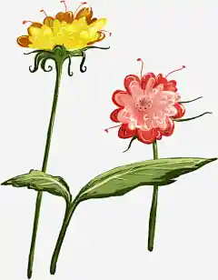 PNG-------植物@波斯猫AAA收集_花瓣 手绘小花小草植物元素_2415498977.jpg