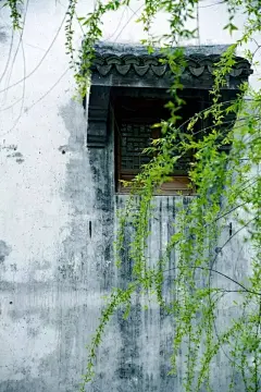 立春

一元复始，万象更新
春，代表着阳气初生，大地开始复苏。
自秦代以来，中国就一直以立春作为春季的开始。
春是温暖的季节，是鸟语花香的季节；
春是生长，耕耘播种的季节。
春，是二十四节气之首，至5月5日（立夏），是整个春天。
在这段时间，大地开始解冻，河流开始融化，
燕儿回到北方，满园春色，微风拂面，五九六九沿河看柳，
七九河开，八九燕来，九九辛勤的劳动人民开始播种，
为了一年的收获开始准备着。