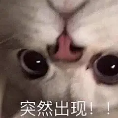 (28 条消息) 有哪些可以哄女朋友的表情包？ - 知乎 : 直男一枚，想知道怎么哄女朋友开心，表情包严重缺货，希望知友帮忙！