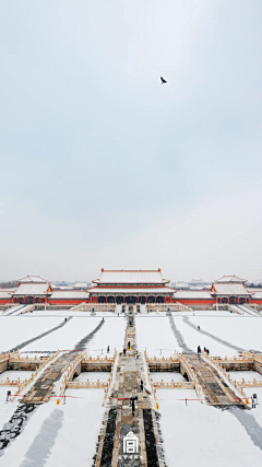 甘大爺采集到图片素材 图