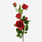 红玫瑰元素免抠素材 设计图片 免费下载 页面网页 平面电商 创意素材 png素材