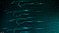VCG41N1147554336