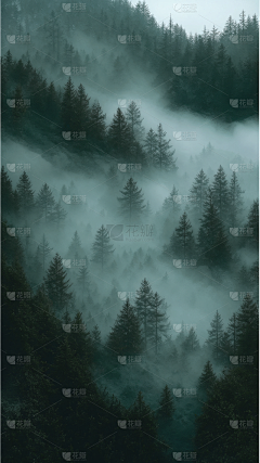 酒九八十一采集到自然场景
