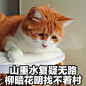 @著名网黄猫日 ​​​​