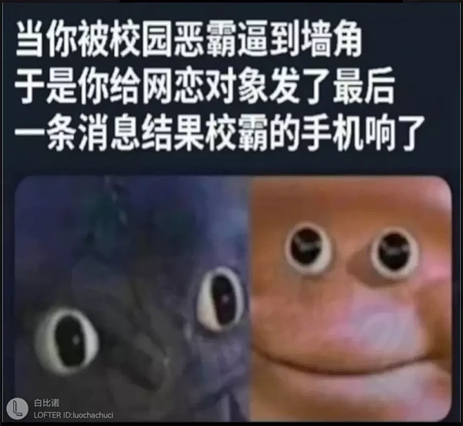 梗图-花瓣网