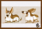 Last of Corgi studies, Vipin Jacob : Some last few explorations of Corgis.