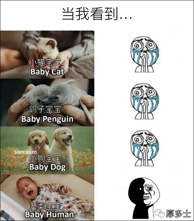 image-花瓣网