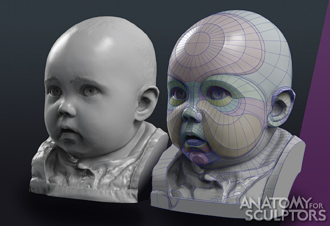 Baby Form, , Anatomy...