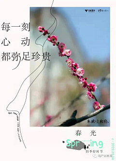 我是秦始皇采集到微信系列