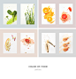 食物的色彩The color of food
