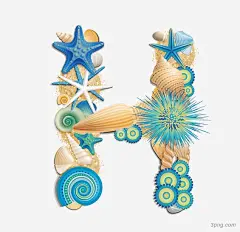 海星字母海星|字母|海洋生物|海鲜|海星|贝壳|海螺|英文字母|字母H|H|字体设计|艺术字体|矢量海星|海螺海星|海星动物|海星沙滩|卡通海星|手绘海星|沙滩海星夏天|海洋海星|高清蓝色海星|贝壳海星|海星贝壳|海星五角橙色|海星海螺贝壳