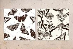 复古风格蝴蝶手绘插画 Vector Butterfly &amp; Flowers Set - 贝图网