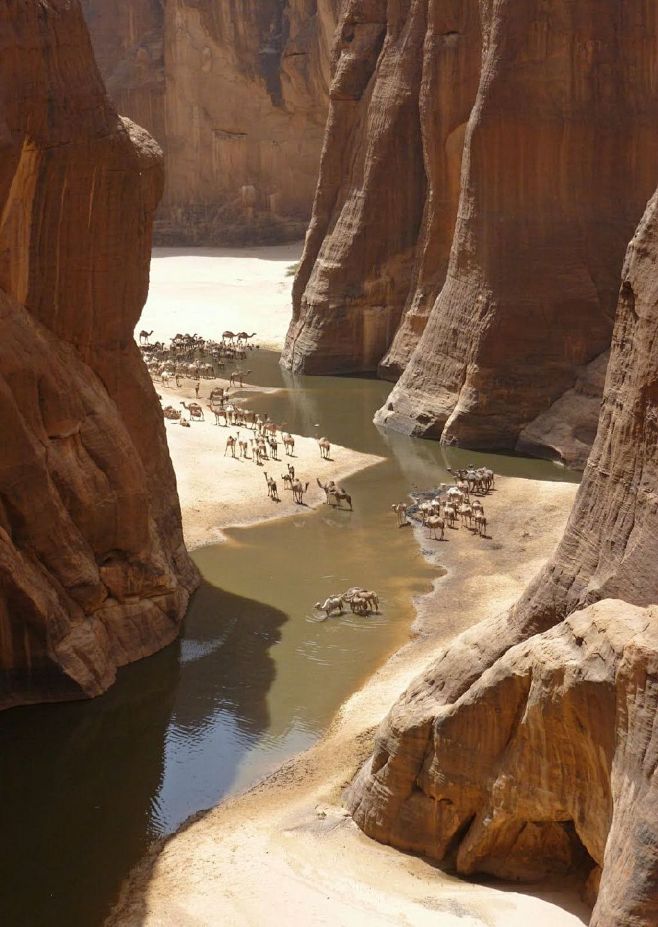 撒哈拉沙漠深处的绿洲Guelta d'A...