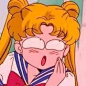 美少女战士 Sailor Moon