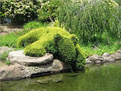 纳若里采集到景观