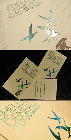 SHELLEY DENEAU摄影师名片设计 设计圈 拼图详情页 设计时代-Powered by thinkdo3