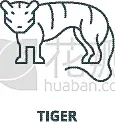 轮廓,概念,虎,直的,线图标,野生动物,肖像,模板,哺乳纲