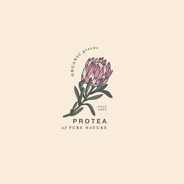 帝王花，复古，logo标志矢量图素材