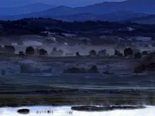 木兰围场坝上草原