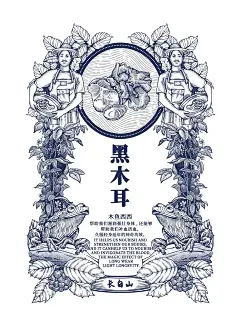 线描包装插画第二波 - 小红书