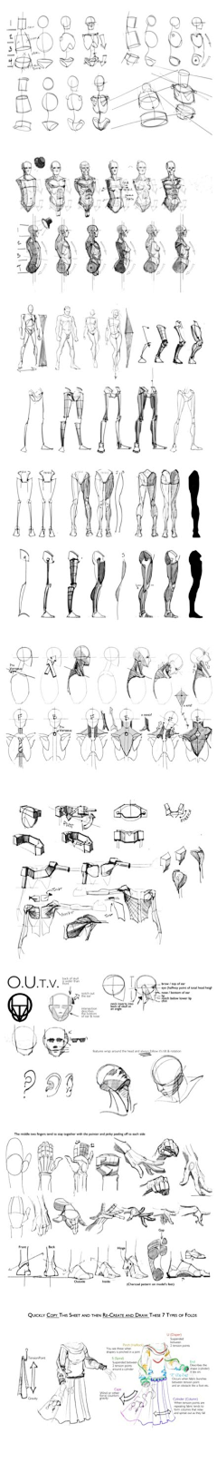 歌德堡之声采集到animation & anatomy & po