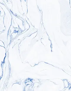 植物鲜花叶子彩色背景海报PSD素材_平面_乐分享素材网_psd素材_平面素材_png素材_免费素材_ppt模板_共享素材平台