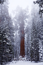 (3) Tumblr