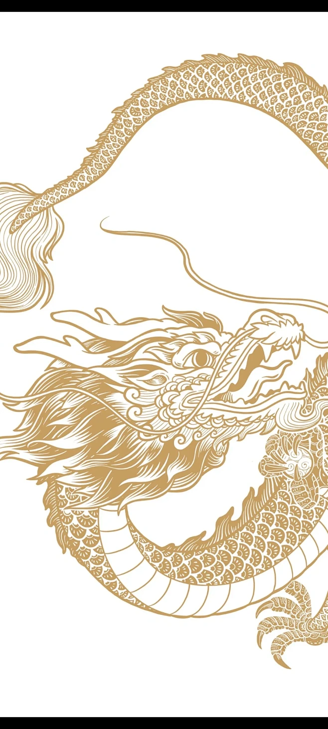 中国龙 - 小红书