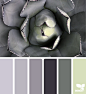 Design Seeds : Design Seeds color palettes ... posted daily for all who love color.