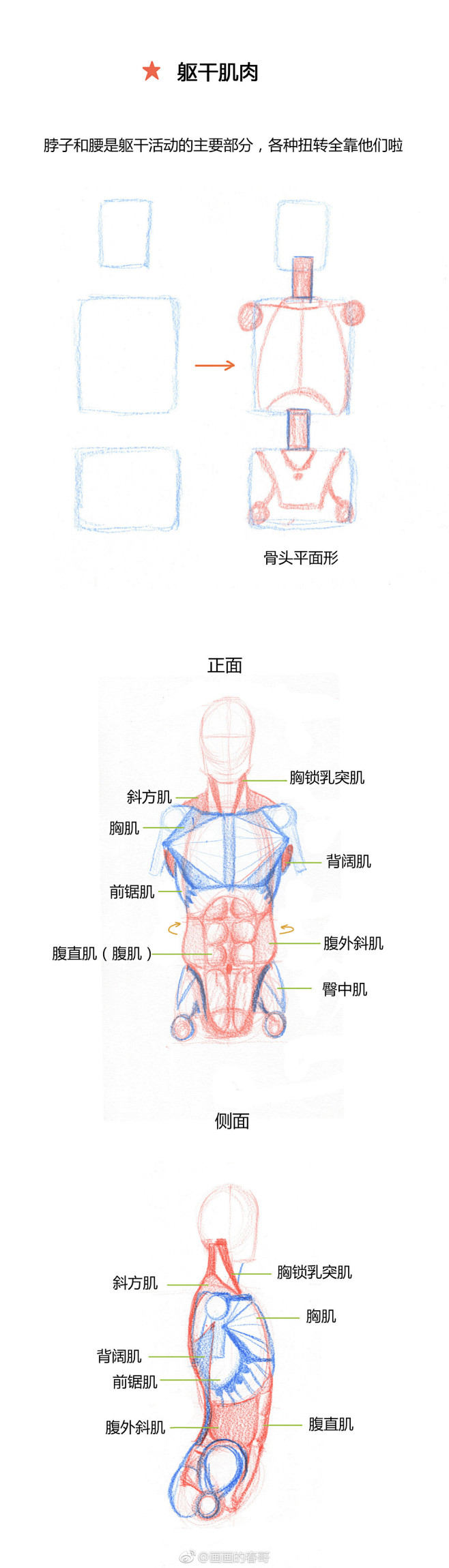 画画的春哥的微博_微博