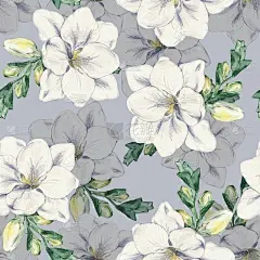 小苍兰6。无缝的花卉图案