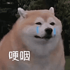 蒹葭
为什么我发不出图来了