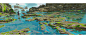 robin-tran-coastalenvironment-1.jpg (3840×1701)