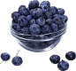 蓝莓图片野生蓝莓矮丛蓝莓