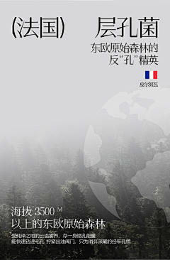 天平只是秤采集到海报-版式
