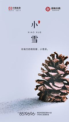 Bllxmox采集到小雪【源文件design006.com】