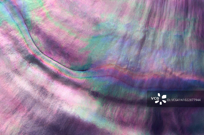 彩色珍珠贝显微摄影图片素材