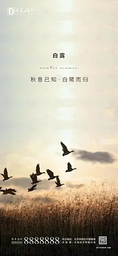 白露节气海报-设计素材-shejisc.cn