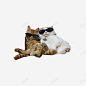 两只肥猫 设计图片 免费下载 页面网页 平面电商 创意素材
