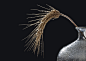 General 2048x1457 minimalism black background simple background spikelets grain water drops glass bottles