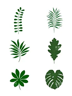 绿叶  - 源文件下载【酷图网】绿叶,绿叶装饰,绿叶插画,绿叶图案,绿叶海报,绿叶花边,绿叶图标