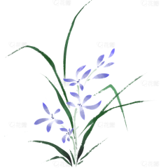 莹莹莹1采集到花
