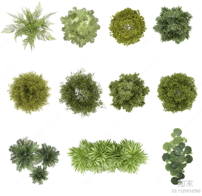 PSD免抠彩色植物平面素材贴图下载【ID:1137016793】