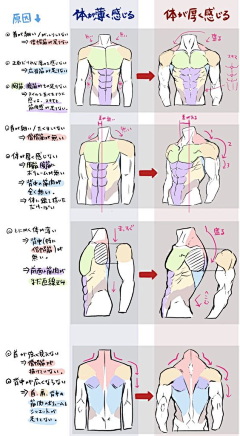 BeeYourself采集到肌肉&.骨骼