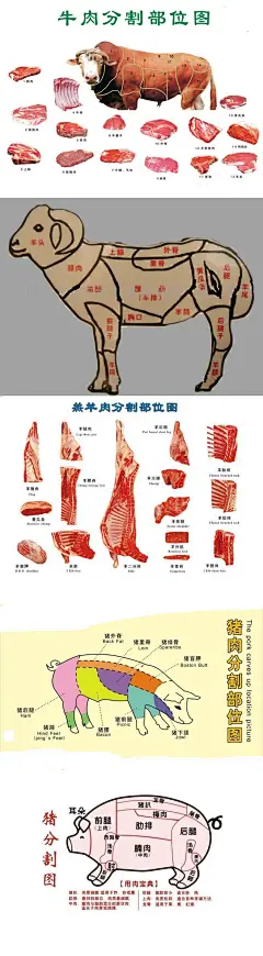 买肉宝典——牛羊猪分割部位图。

