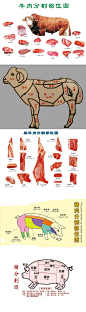 买肉宝典——牛羊猪分割部位图。

