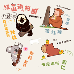 WVRSHCA3采集到ip
