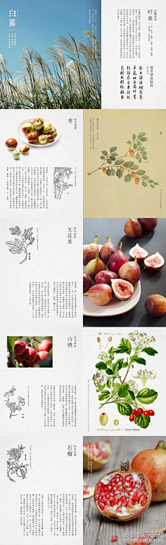 无色深渊采集到画册