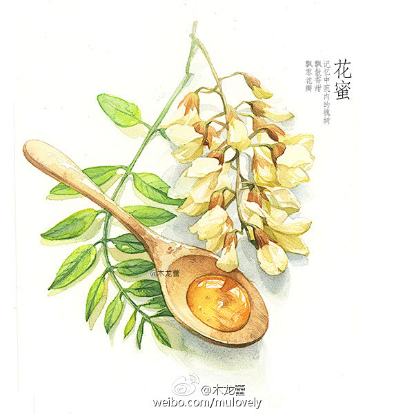 手绘食物记录生活，味道是有色彩的，晨光熹...